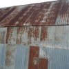 Corrugated iron hut like the huts in the Gully, Katoomba